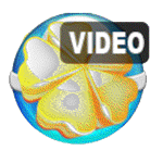 iPixSoft Video Slideshow Maker(视频相册制作工具) v5.3 精简版
