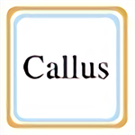 callus模拟器 优化版