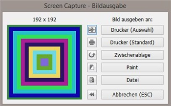 Screen Capture Print(截屏打单软件) v1.33 破解版下载