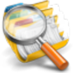 Folder Size Professional(硬盘检测工具) v4.9.5.0 提升版