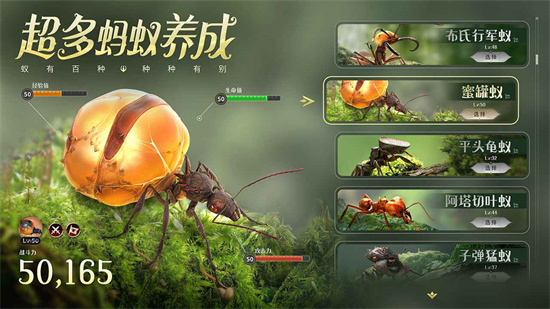 小小蚁国中文免费版 v1.29.0